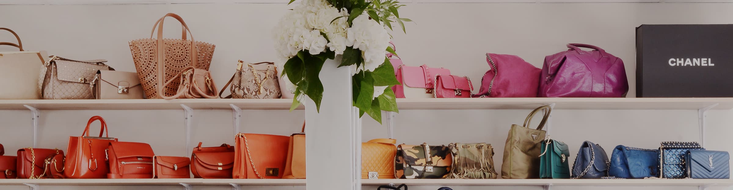 showroom by luxe